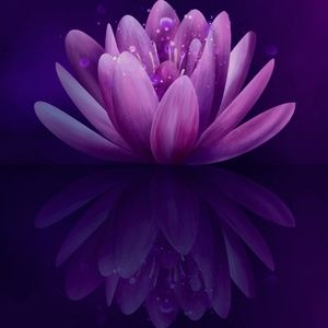 Meet your Posher, Kiera